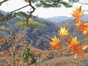 安徽含山房价最新动态，市场走势及未来展望